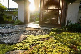 Carpe Diem Kamaida-image