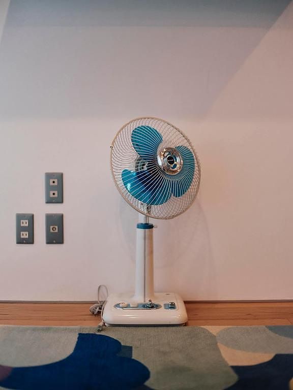 Carpe Diem Kamaida-image