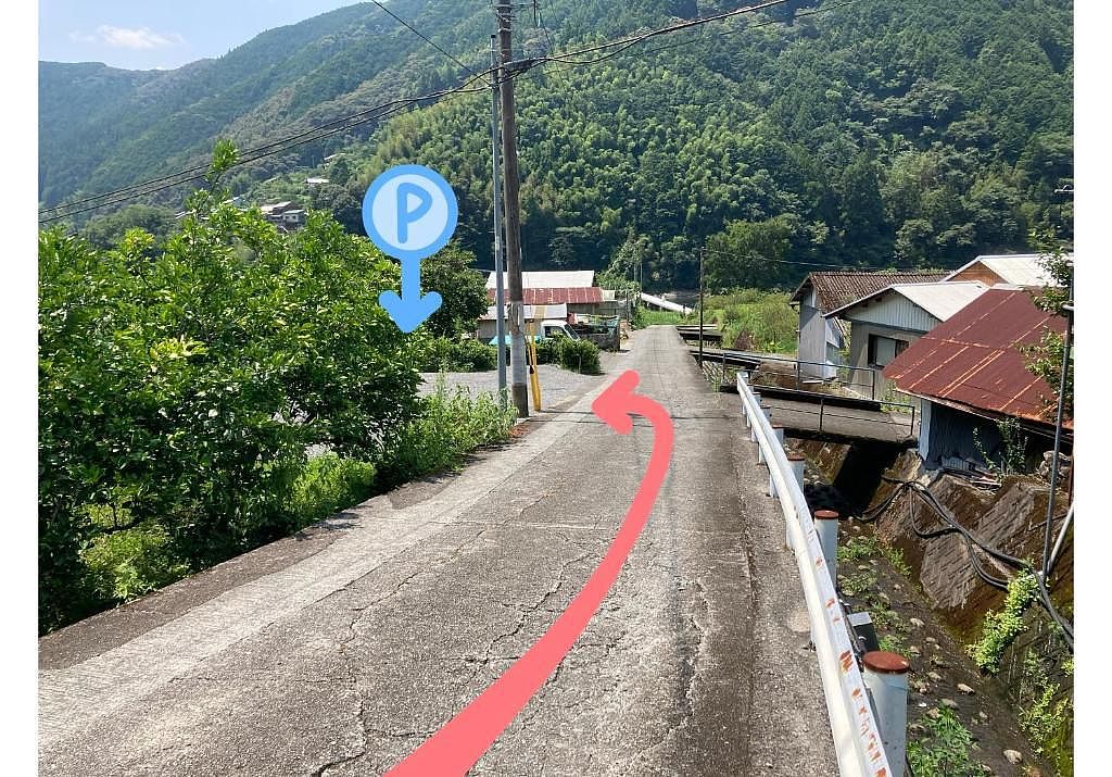 Carpe Diem Kamaida-image