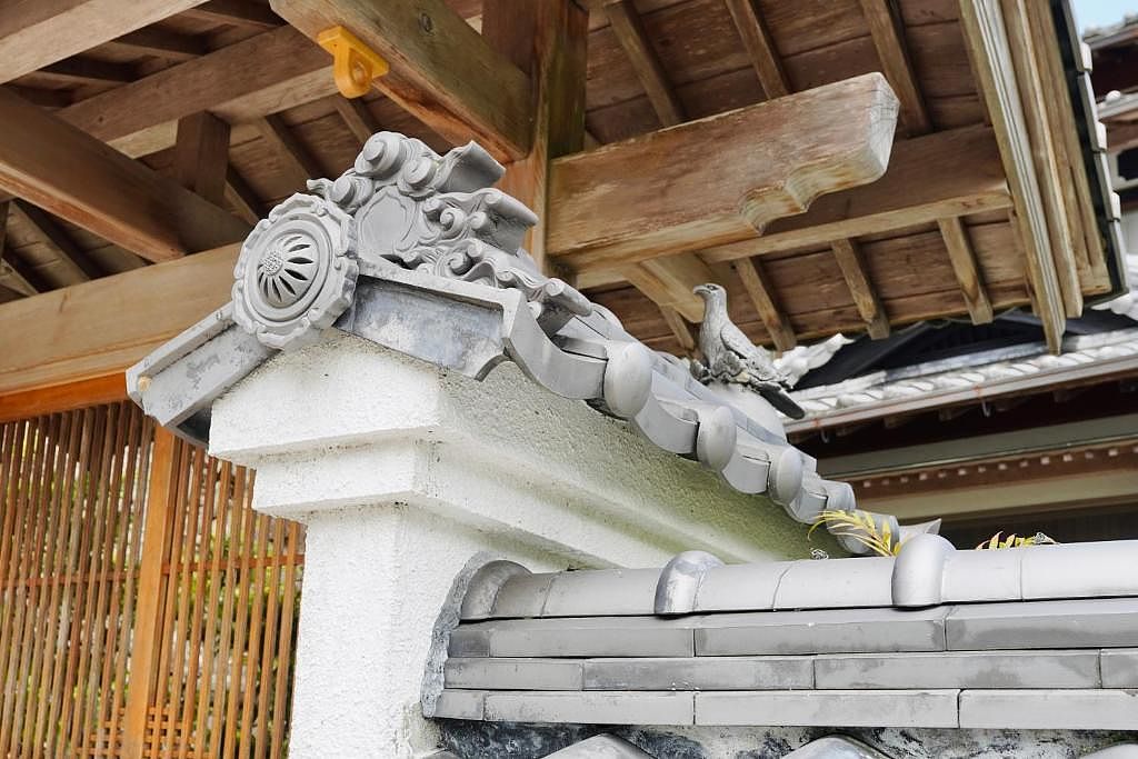 Carpe Diem Kamaida-image