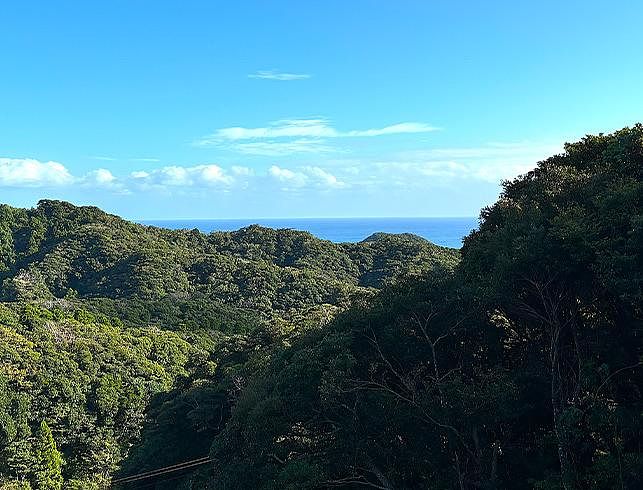 Shinichirou Sauna Shisetsu-image