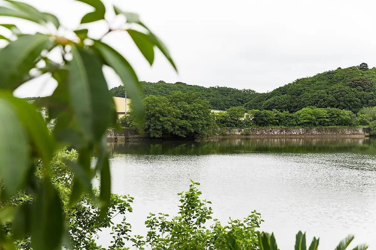 mg-ミリグラム-image