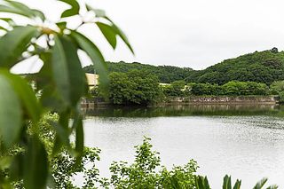 mg-ミリグラム-image