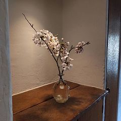 ラカミオ LaKamio refuge&restaurant -image