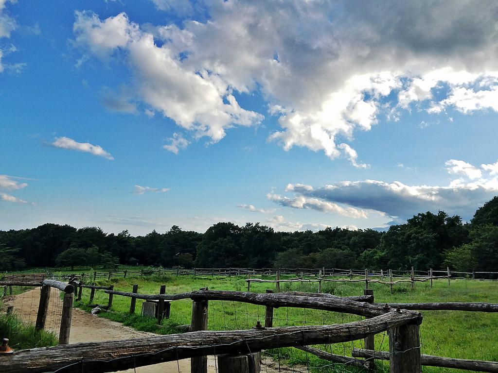 青空広がる牧場風景