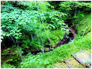 ウッドデッキからの景色