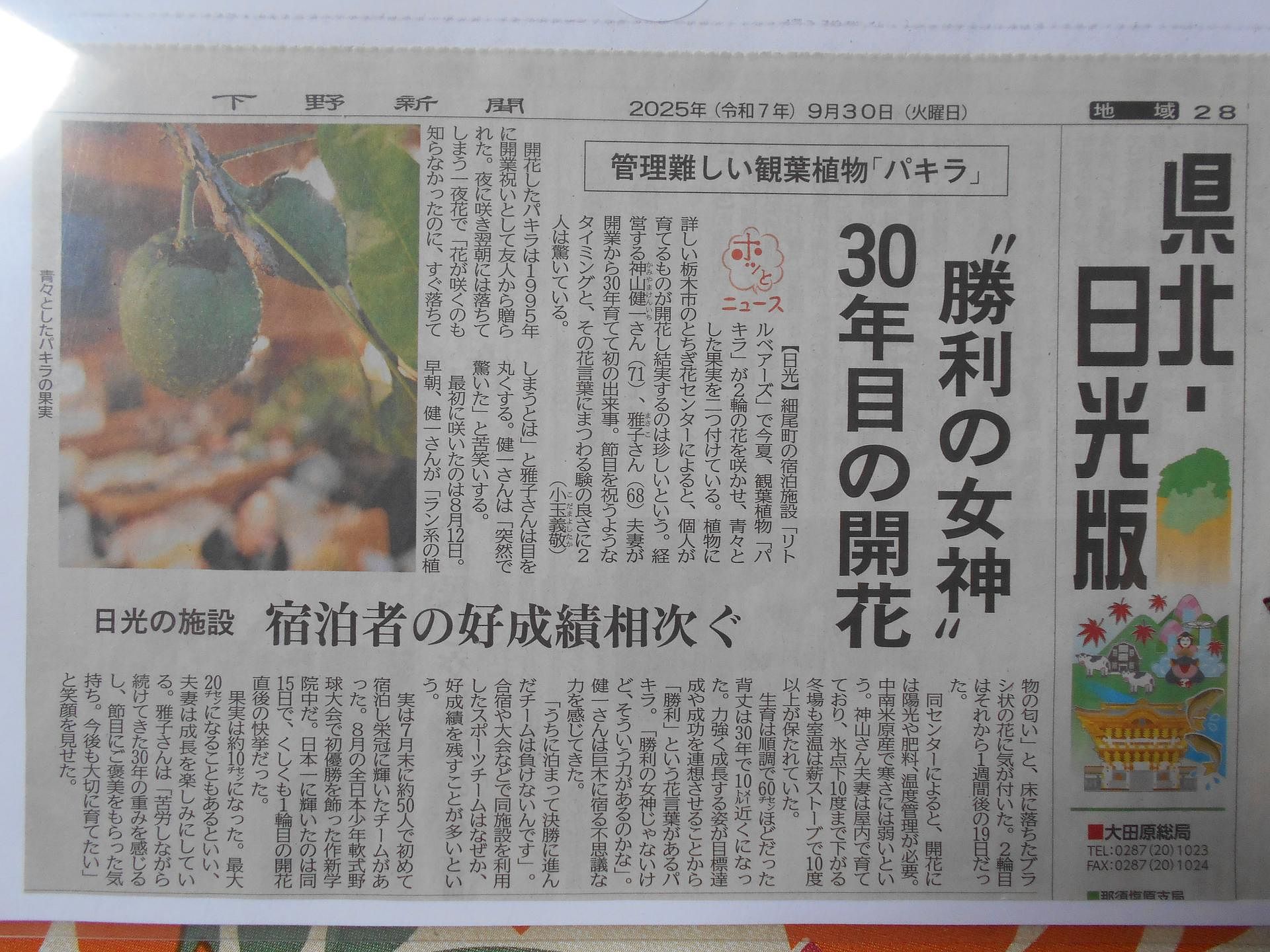 コテージリトルベアーズこぐま館-image