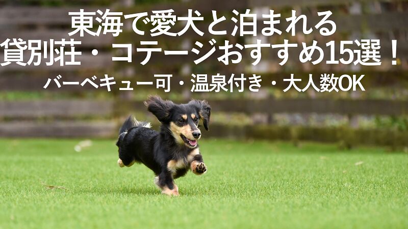 【2025年最新】東海で愛犬と泊まれる貸別荘・コテージおすすめ15選！バーベキュー可・温泉付き・大人数OKなど