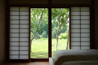 haku36stay-image