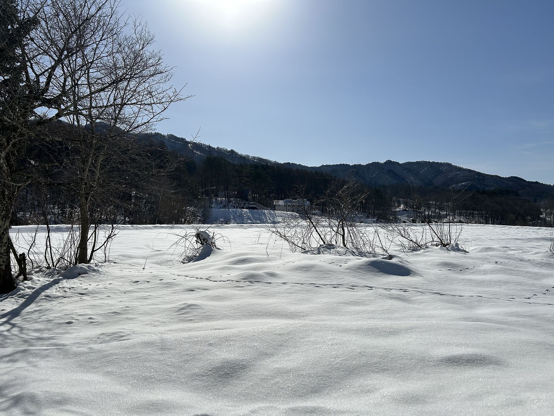 Private Villa  Cool-Villa 飛騨リゾート-image