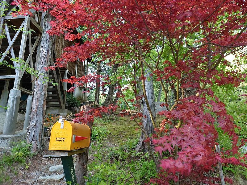 木戸場ロッジ-image