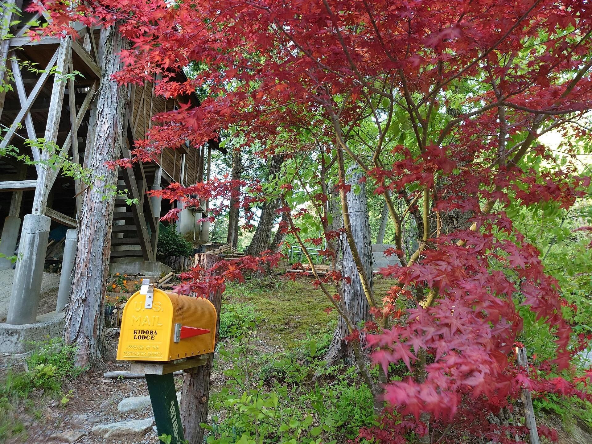 木戸場ロッジ-image