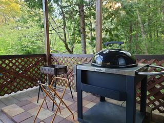 通常のBBQグリルと蓋付きのアメリカンスタイルのBBQグリルがございます。