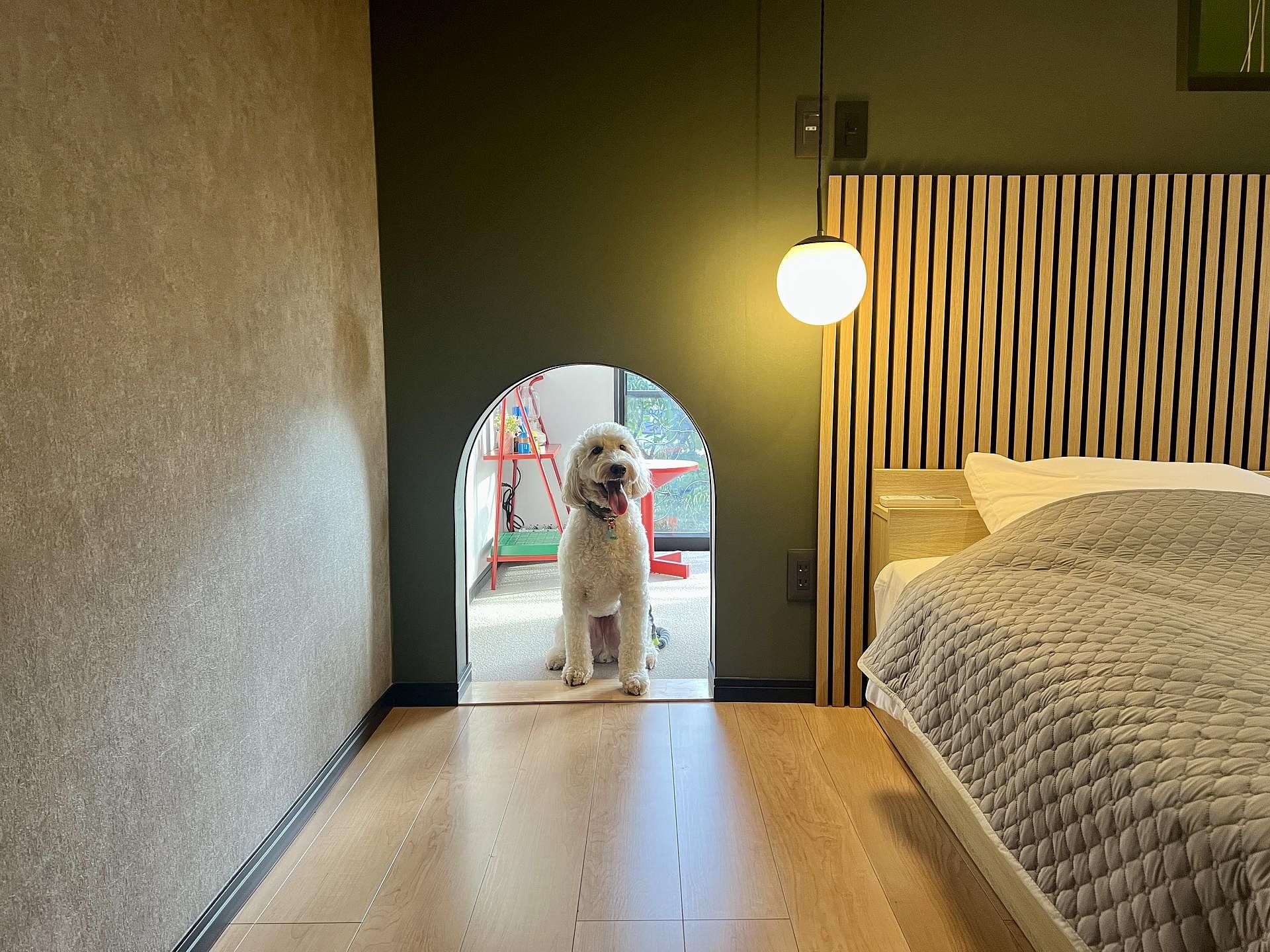 愛犬用トンネル