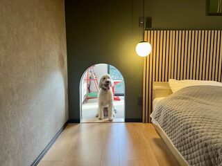 愛犬用トンネル