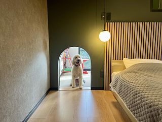 愛犬用トンネル