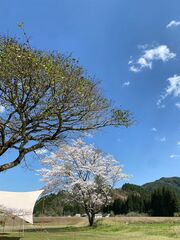 ながたんち-image