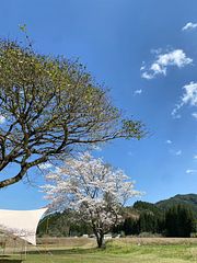 ながたんち-image