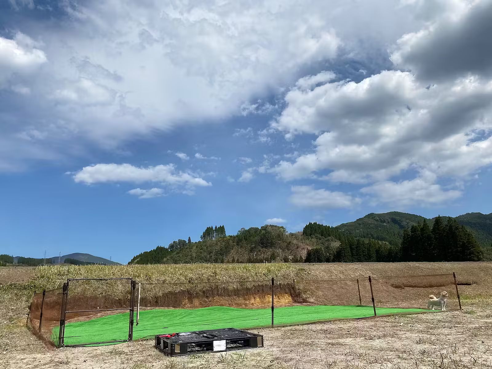 ながたんち-image