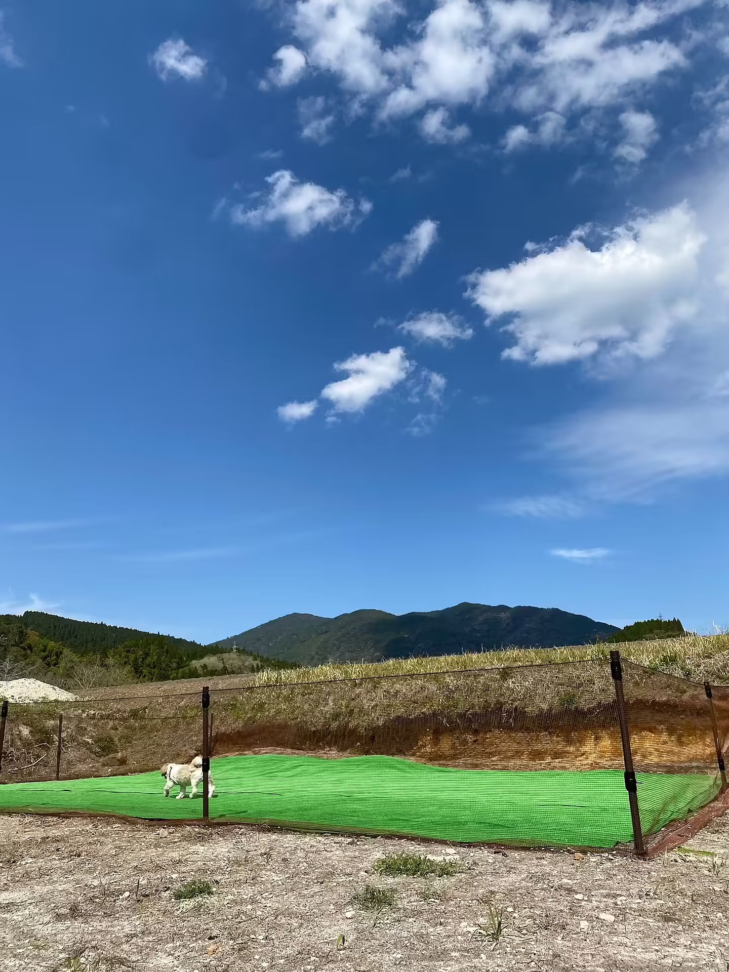 ながたんち-image