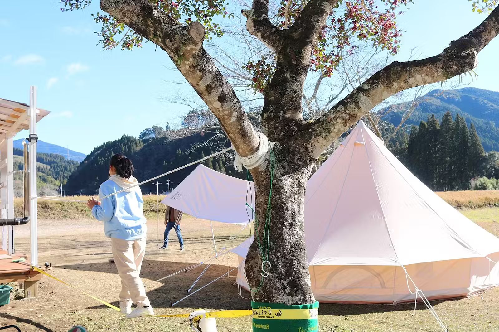 ながたんち-image