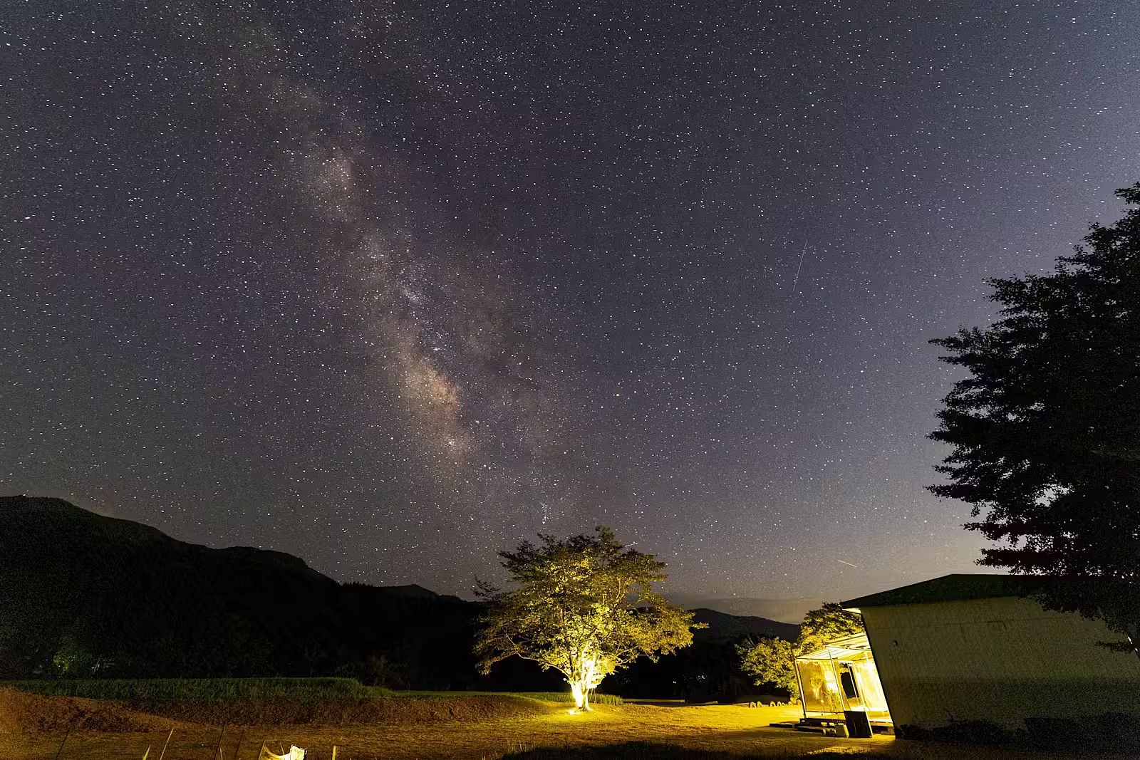 ながたんち-image