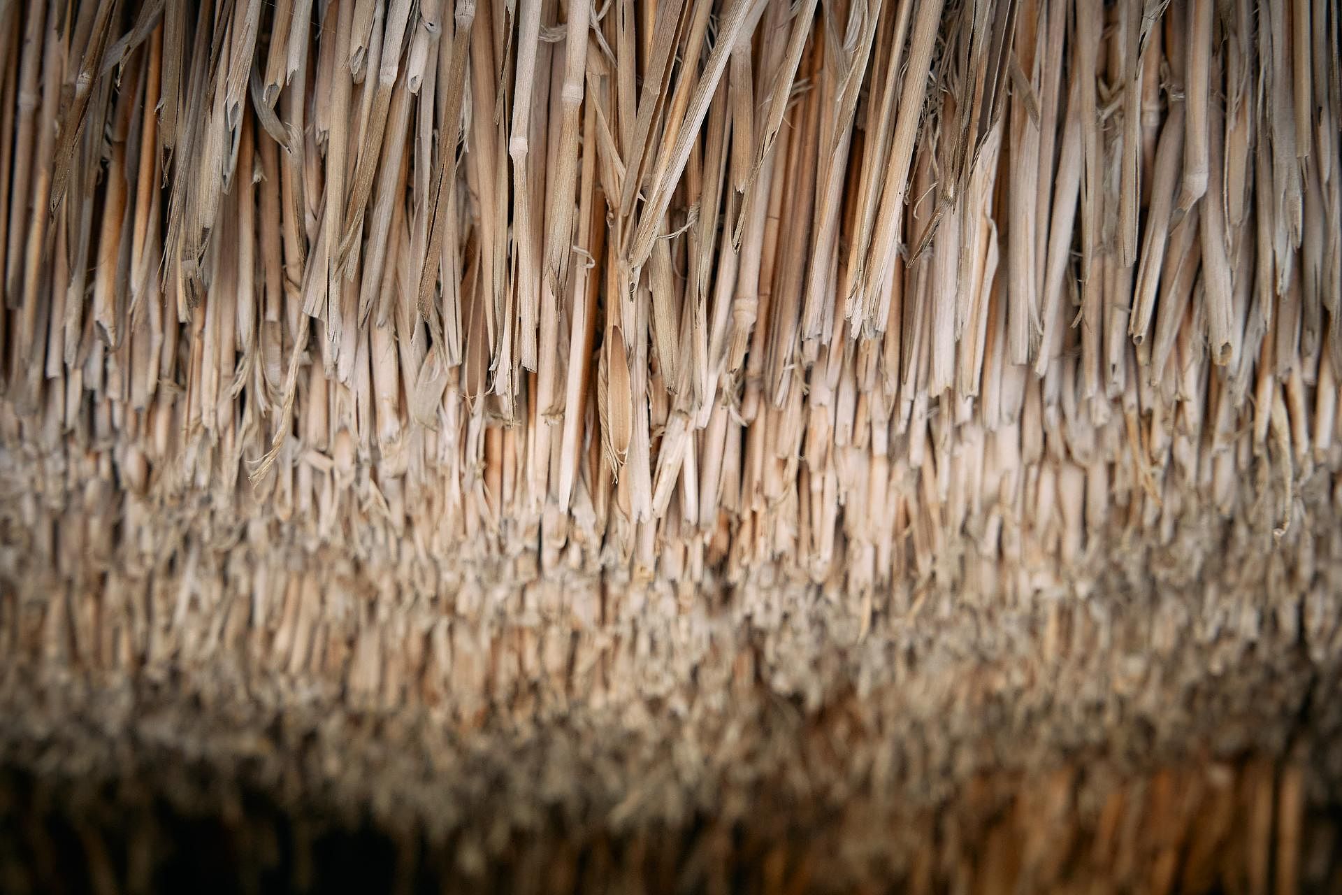 棚田の古民家宿 Oto-image