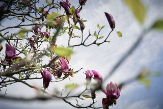 棚田の古民家宿 Oto-image