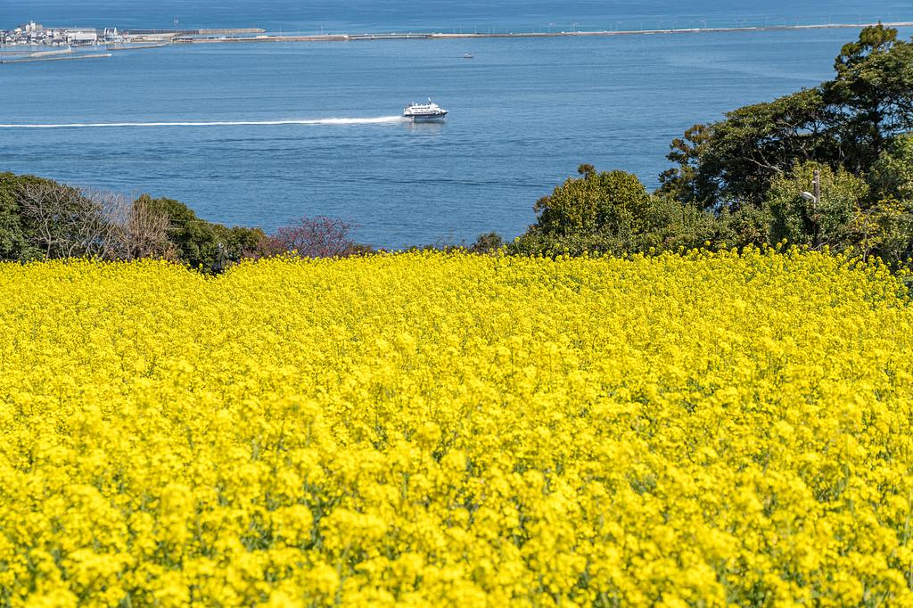 福岡県 | のこのしまアイランドパーク