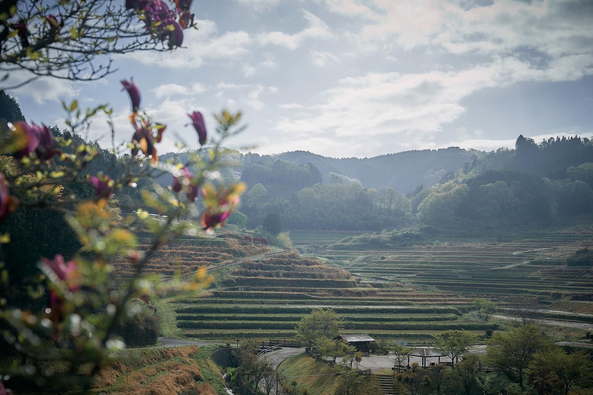 棚田の古民家宿 Oto-image