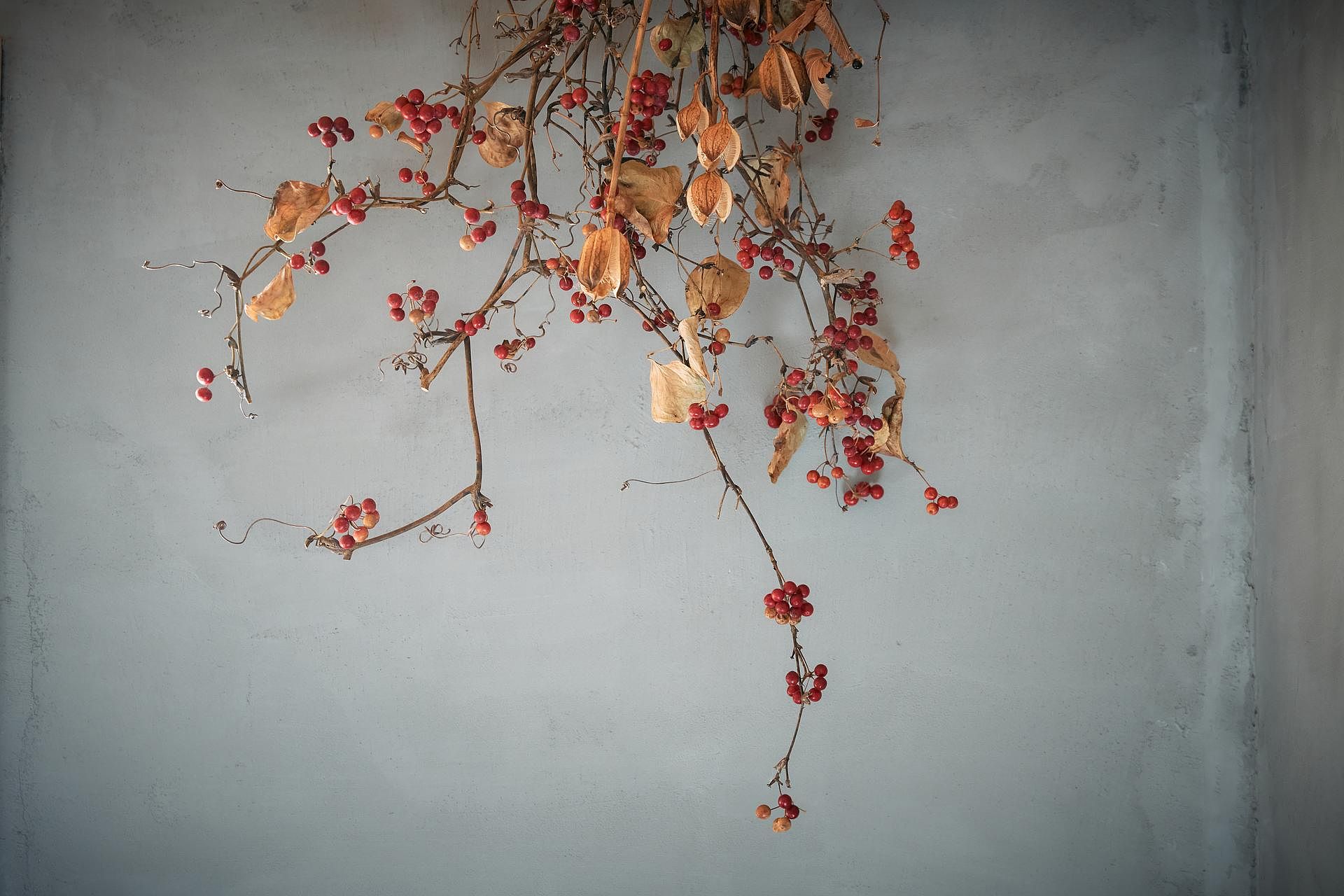 棚田の古民家宿 Oto-image