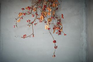 棚田の古民家宿 Oto-image