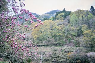 棚田の古民家宿 Oto-image