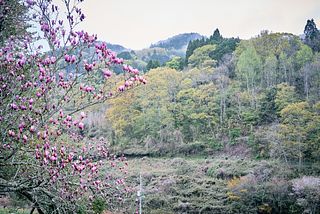 棚田の古民家宿 Oto-image