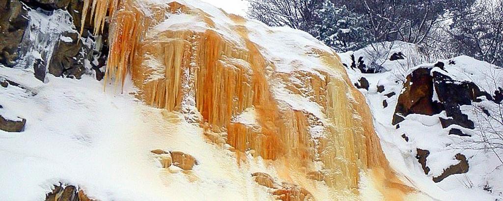 耶麻郡北塩原村 | イエローフォール
