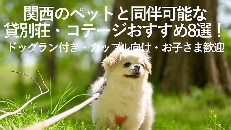 【2025年最新】関西のペットと同伴可能な貸別荘・コテージおすすめ8選！ドッグラン付き・カップル向け・お子さま歓迎など