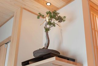 asterisk HIROSHIMA-image