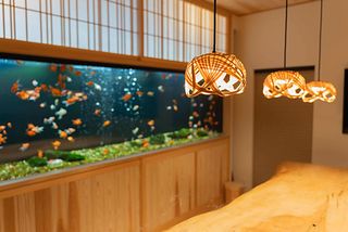 asterisk HIROSHIMA-image