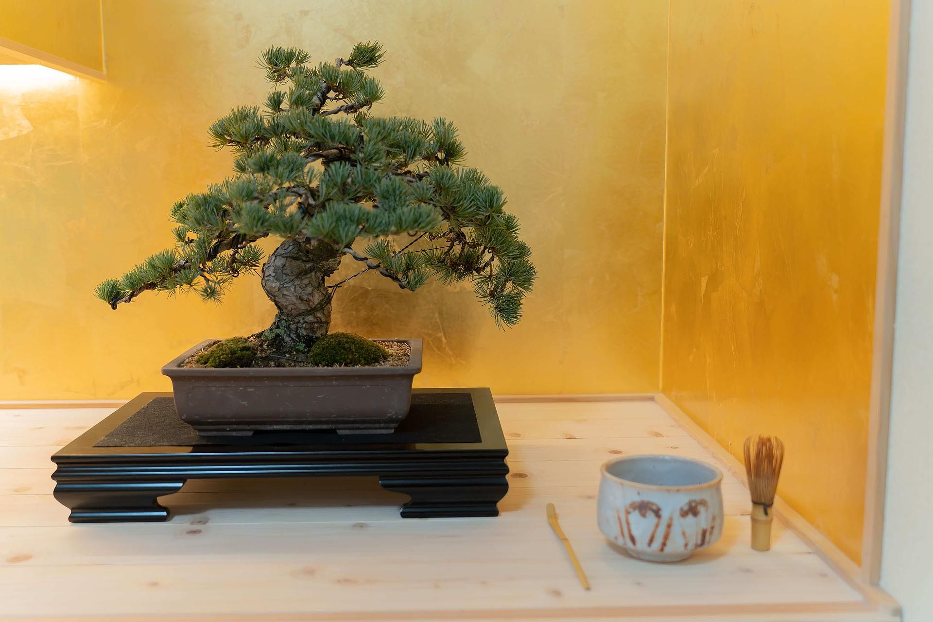 asterisk HIROSHIMA-image