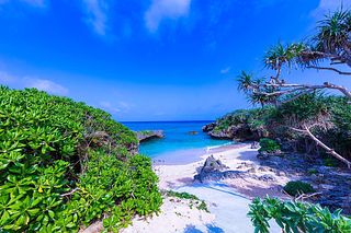 Goya Cozy Terrace-image