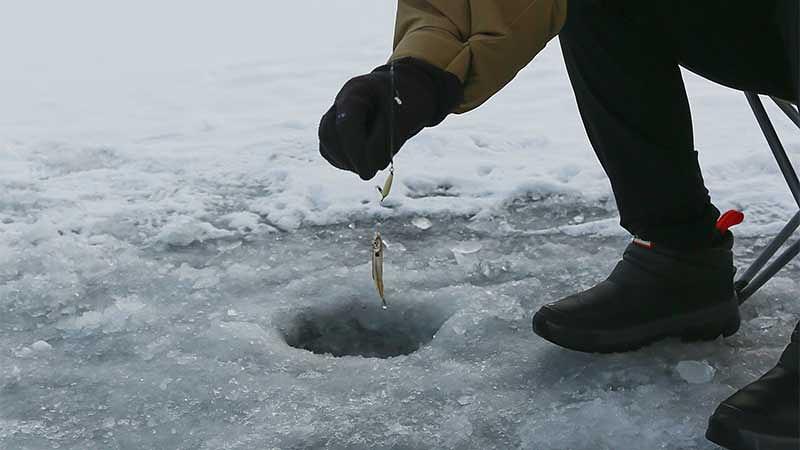 よくあるご質問