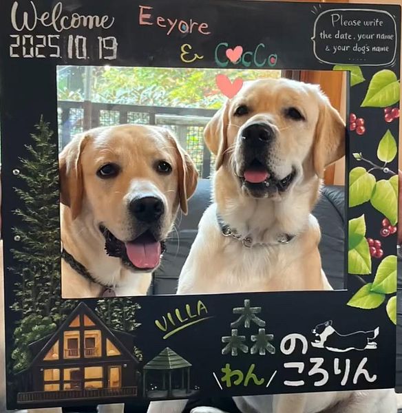 Villa森のわんころりんの宿泊予約・宿情報 / 北関東 群馬県 草津・万座