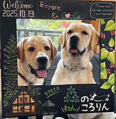 わんこファーストな宿