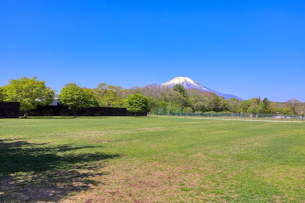 使い方は無限大1200坪の芝生の庭付き