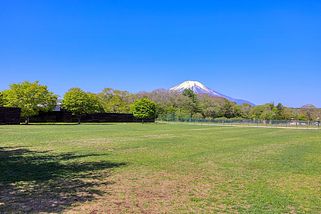 使い方は無限大1200坪の芝生の庭付き