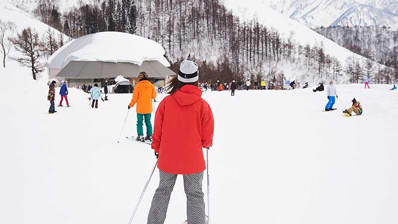 滑走中のマナーと優先順位