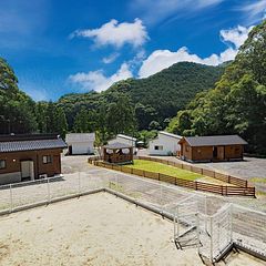 DOG PALACE camp village ログハウス（陽だまり）-image