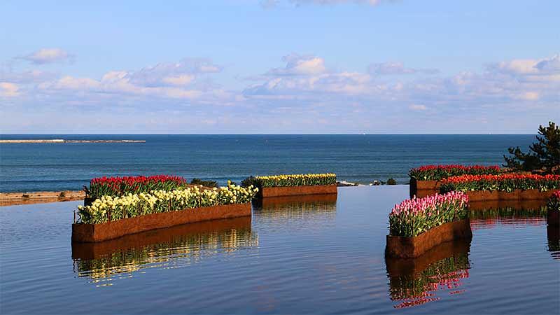 【エリア別】関東の冬の花おすすめスポット10選