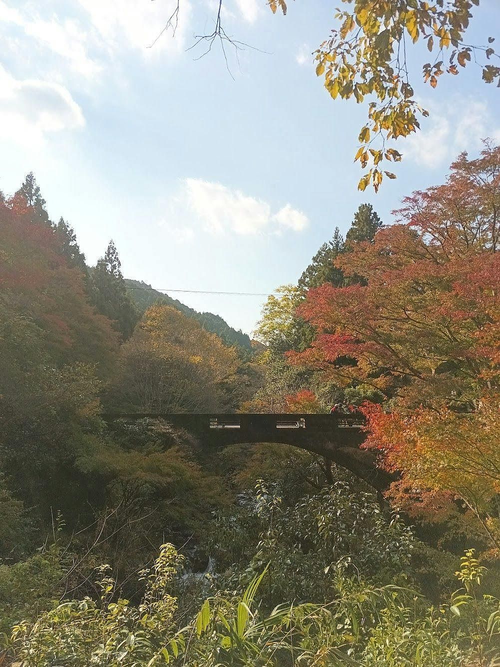 ワインの宿 hatake-image