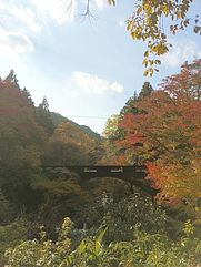 ワインの宿 hatake-image